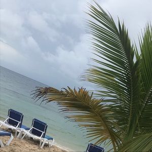 Meet your Posher, Layla